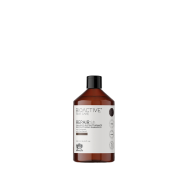 Plaukus atstatantis šampūnas BIOACTIVE HAIR CARE REPAIR Sh 250ml