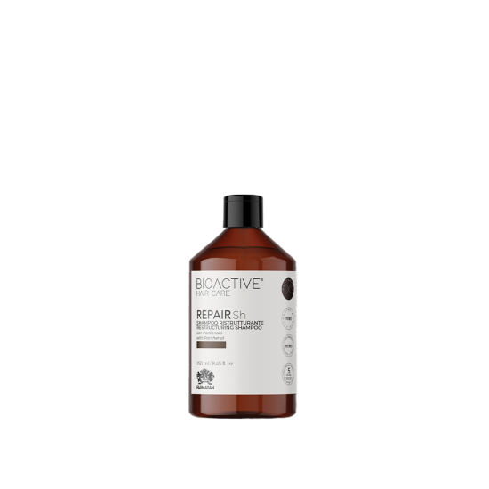 Plaukus atstatantis šampūnas BIOACTIVE HAIR CARE REPAIR Sh 250ml