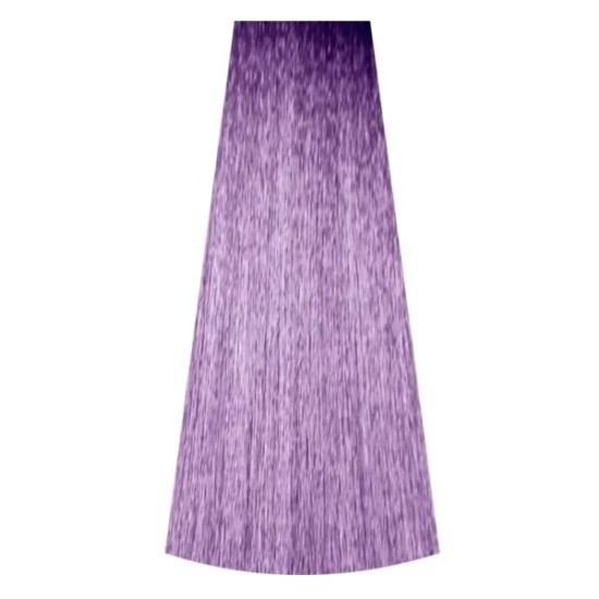 Beamoniakiai tonuojantys plaukų dažai PERFORMANCE TONER AMMONIA FREE LIGHT VIOLET 100 ml. Beamoniakiai tonuojantys plaukų dažai PERFORMANCE TONER AMMONIA FREE LIGHT VIOLET 100 ml.