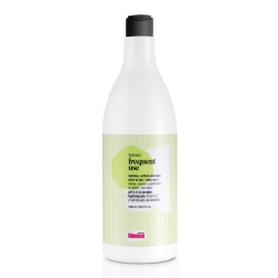 Kasdienio naudojimo šampūnas FREQUENT USE SHAMPOO 1000ML