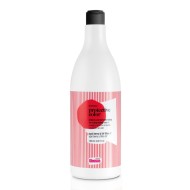 Glossco šampūnas dažytiems plaukams Protective Color 500ml